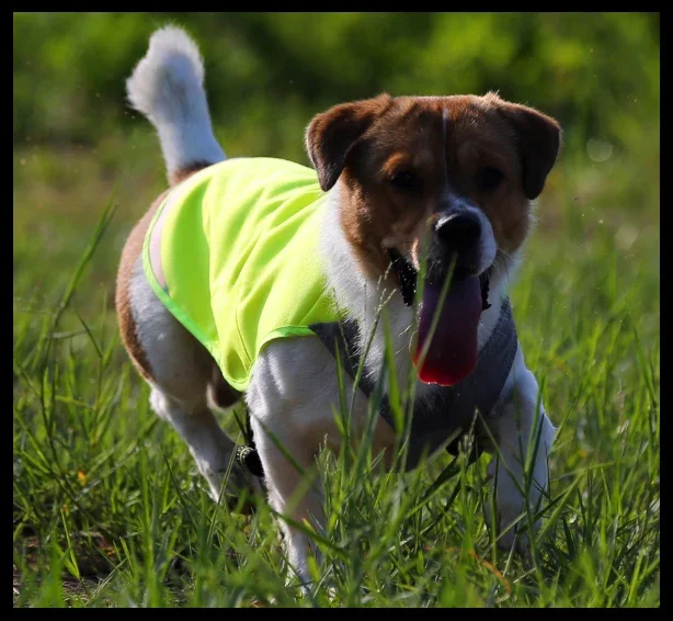 Chaqueta de entrenamiento Truelove impermeable con nylon 1000D