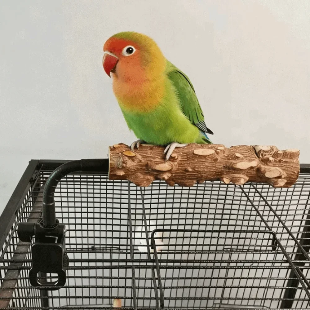 Percha de madera de pimienta para aves pequeñas