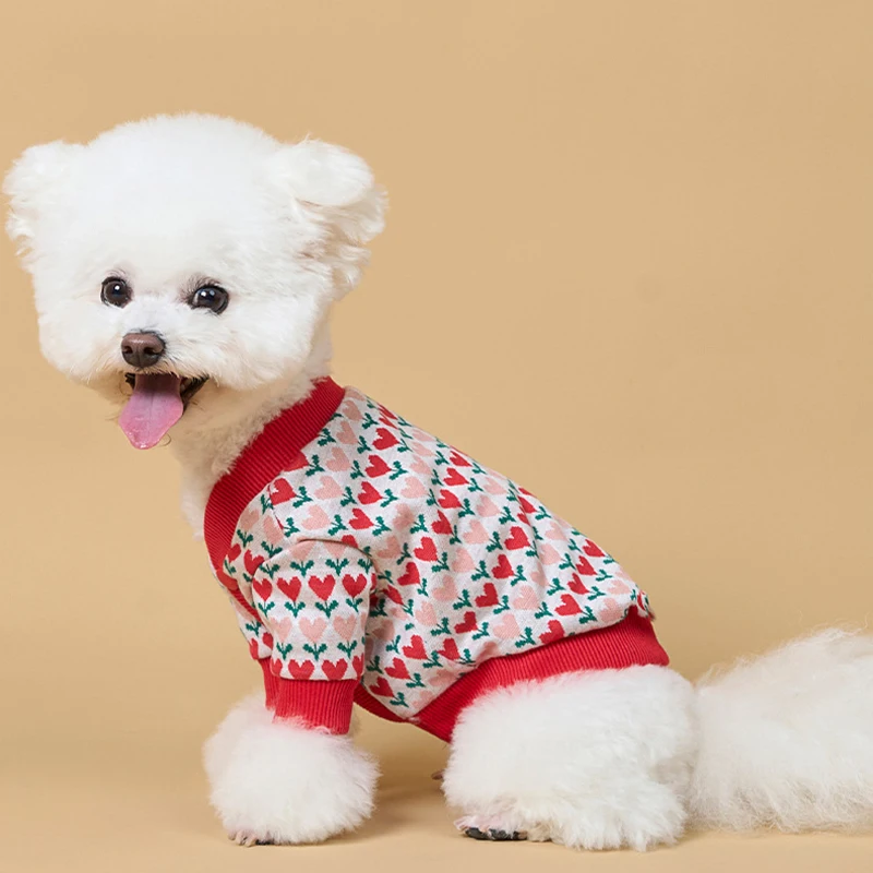 Suéter de Punto Floral para Perros y Gatos – Abrigo Cálido - imagen 5