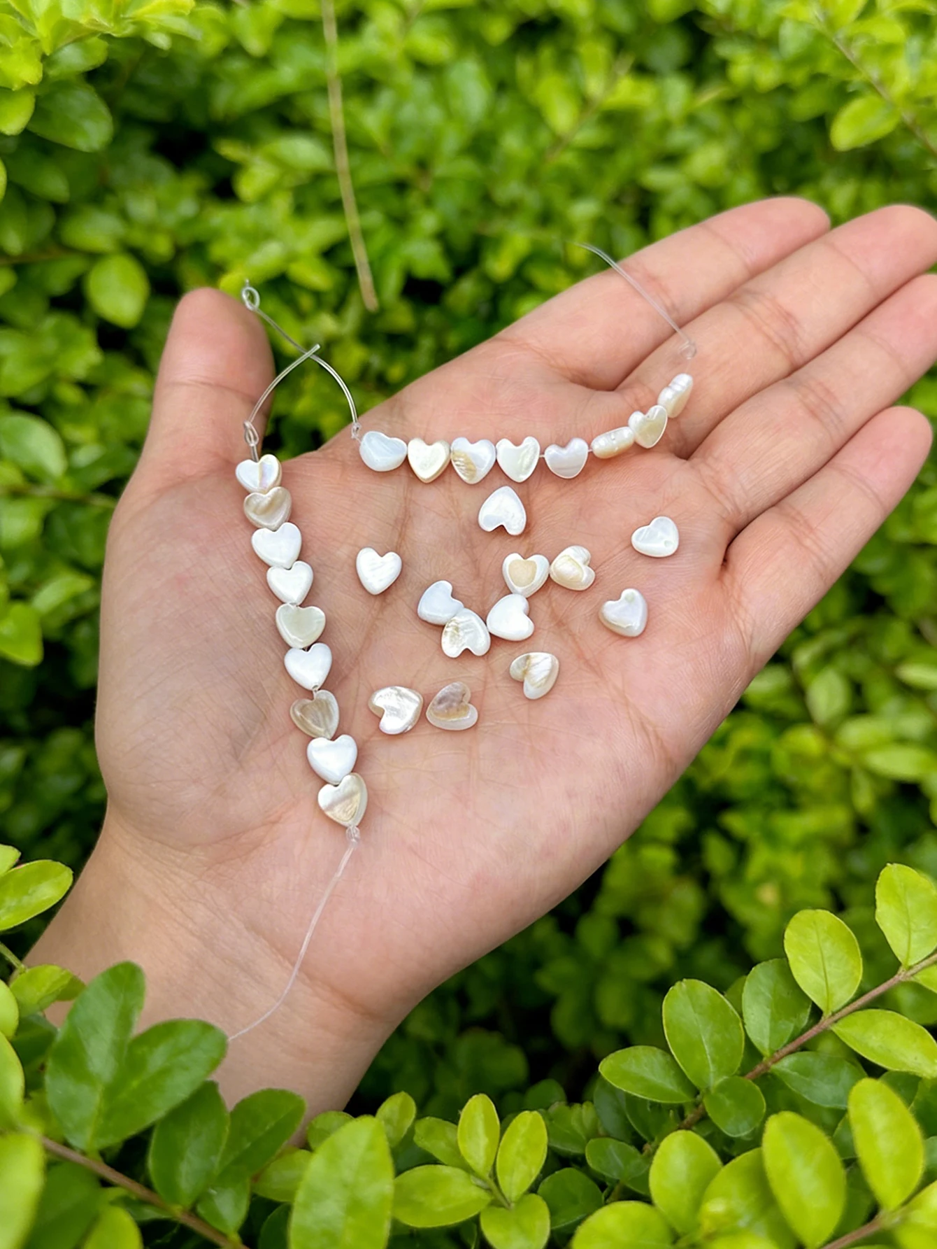 Cuentas de concha montadas en un hilo de joyería