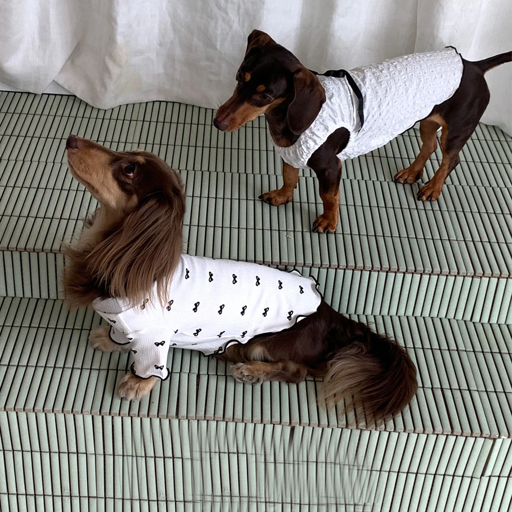 Camiseta verano de algodón para perro salchicha – Dachshund - imagen 2