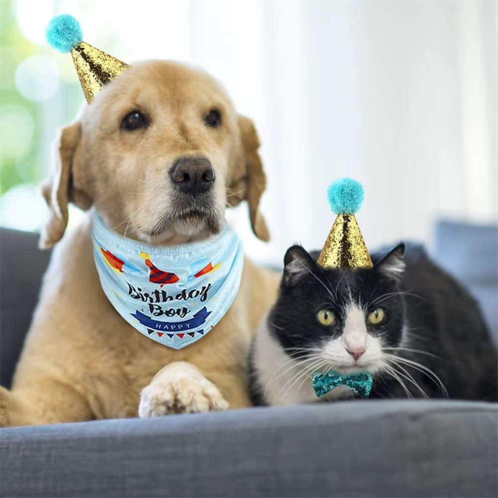 Kit Fiesta Cumpleaños Gatos y Perros: Sombrero, Bandana y Globos