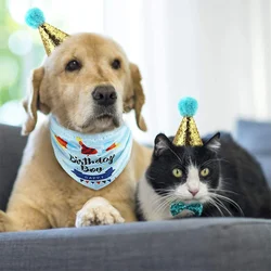 Kit Fiesta Cumpleaños Gatos y Perros: Sombrero, Bandana y Globos