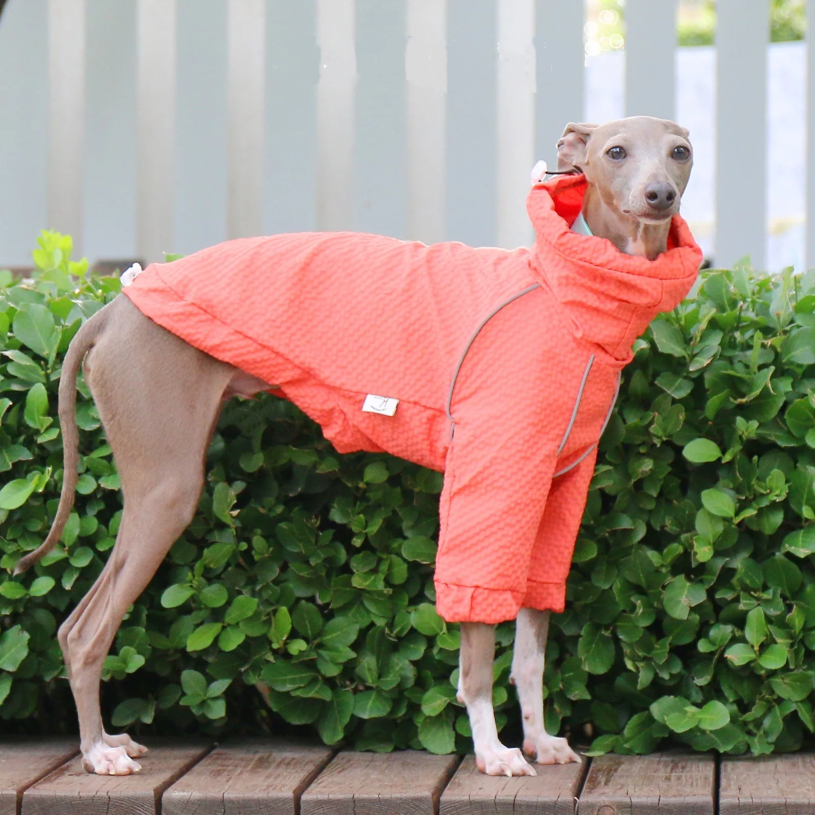 Traje a prueba de lluvia ajustable