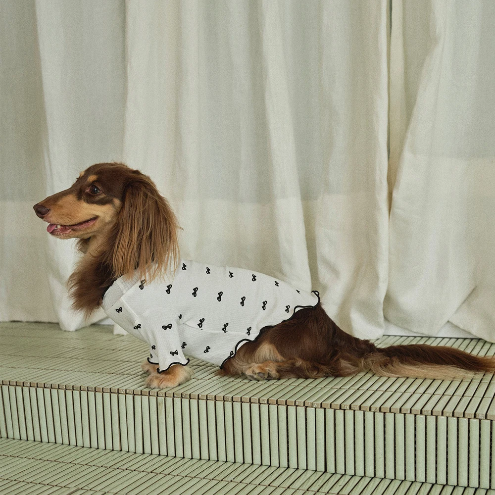 Camiseta verano de algodón para perro salchicha – Dachshund - imagen 5