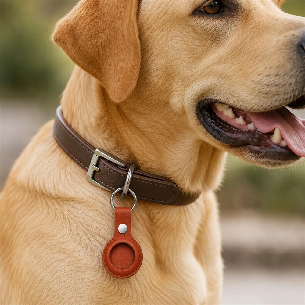 Fundín antipérdida de cuero para placa de perro con anilla - imagen 5