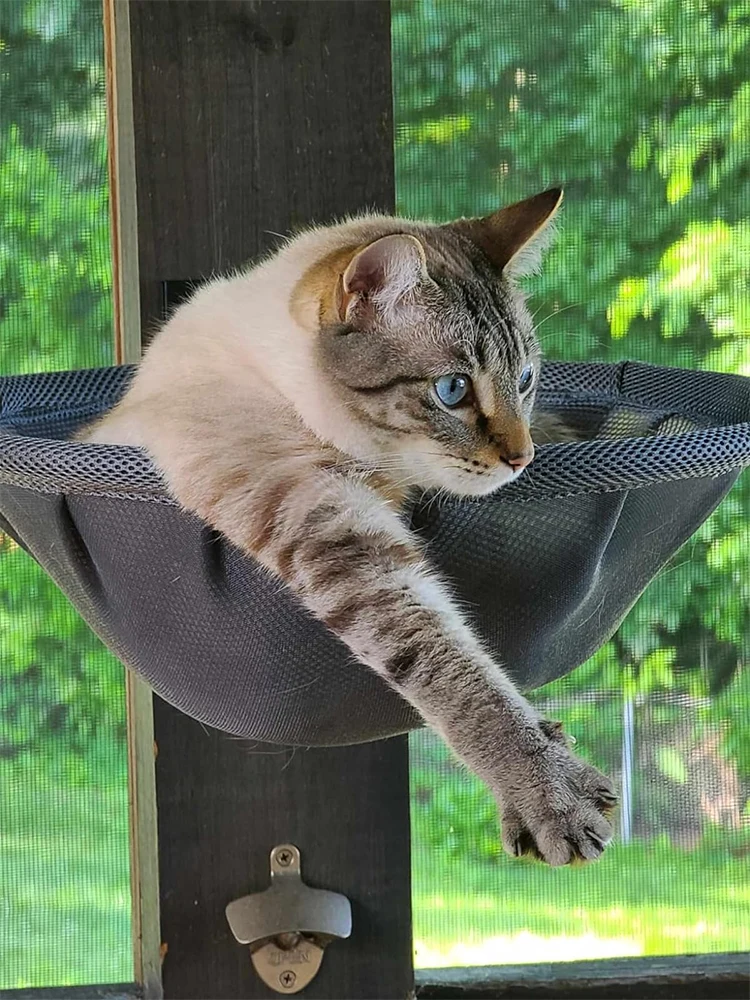 Hamaca montada en pared con diseño de marco de baloncesto