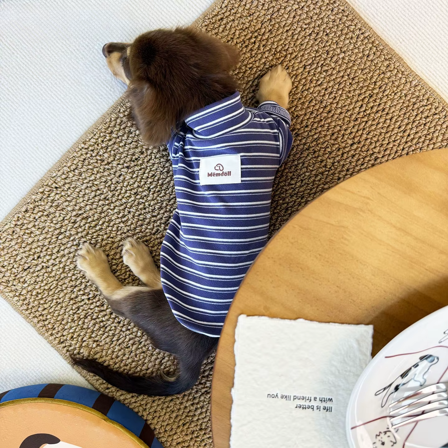 Sudadera a Rayas para Perros Pequeños y Medianos – Otoño e Invierno - imagen 5