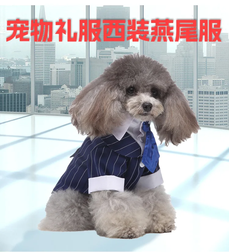 Aspecto de traje formal para mascota