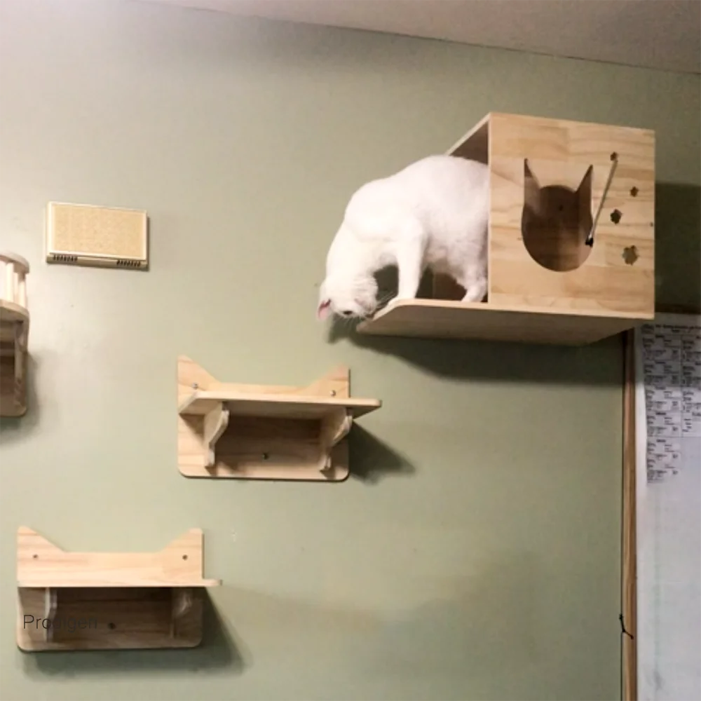 Escalera de trepa para gatos