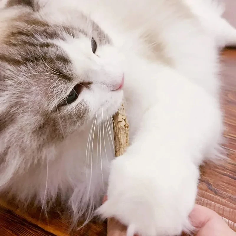 Palitos masticables de matatabi con catnip para gatos, limpieza dental - imagen 3