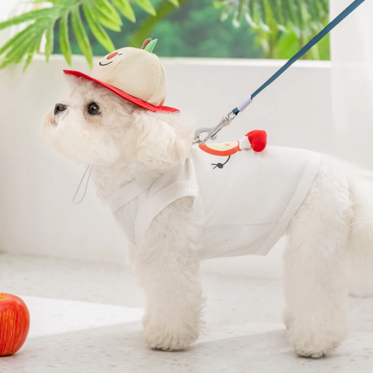 Camiseta sin mangas con sombrero para perros Teddy – ropa verano - imagen 3