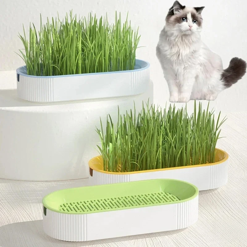 Kit cultivo hidropónico de hierba para gatos: masticar y bolas de pelo - imagen 4