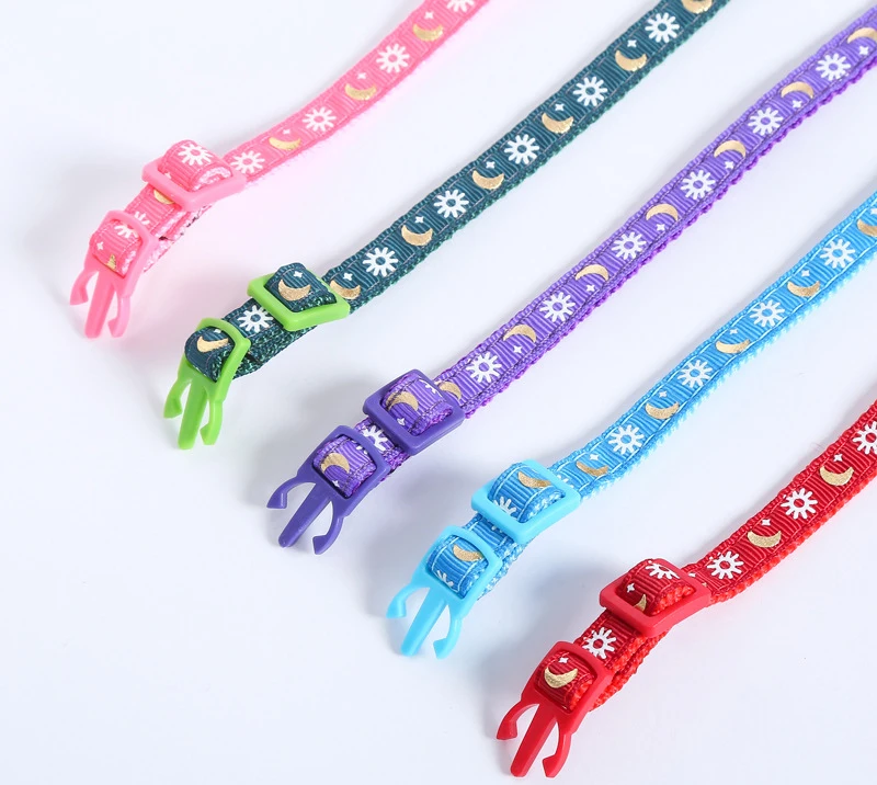 Mascota con el collar