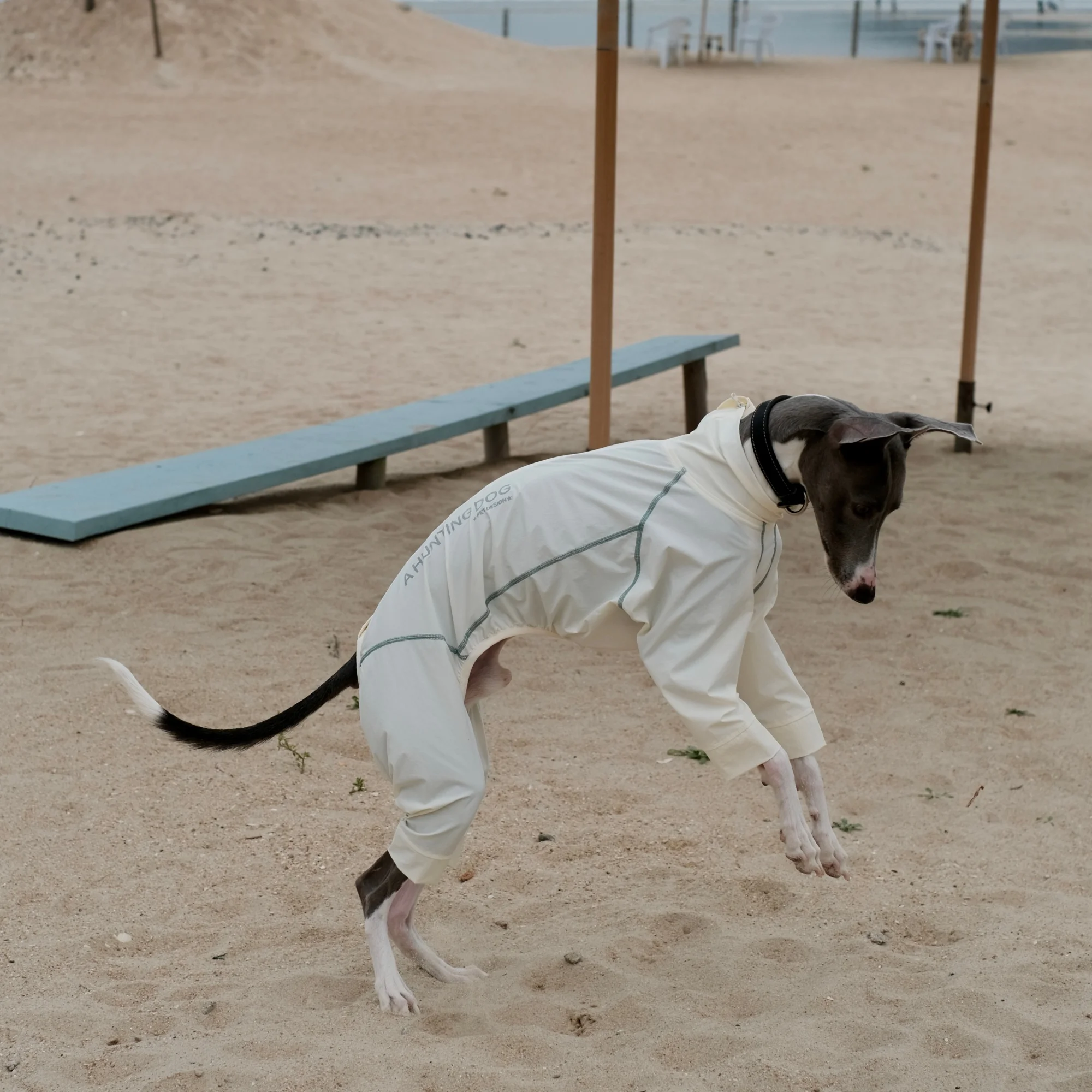 Mono ligero para perros con UPF100+ y mosquitero Galgo Whippet