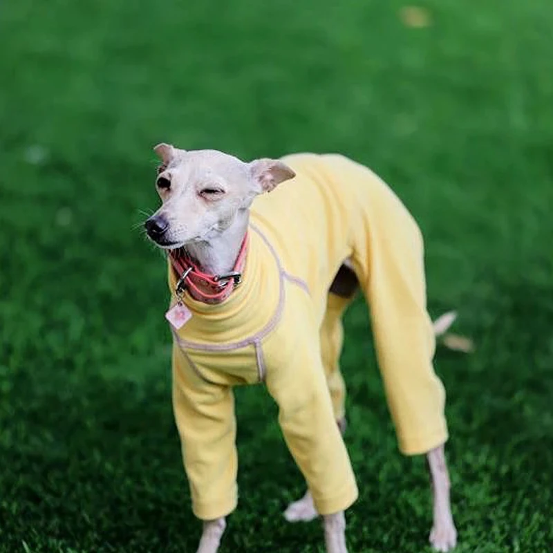 Jersey de punto elástico para perros