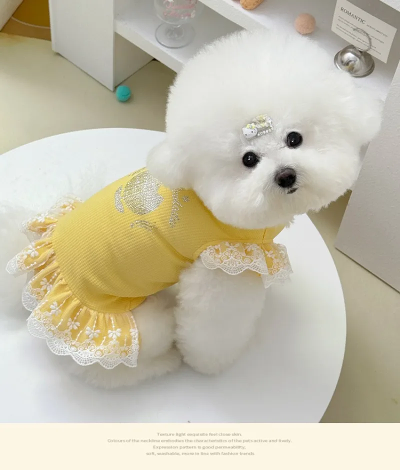 Vestido de encaje primavera estilo princesa oso peluche para perro