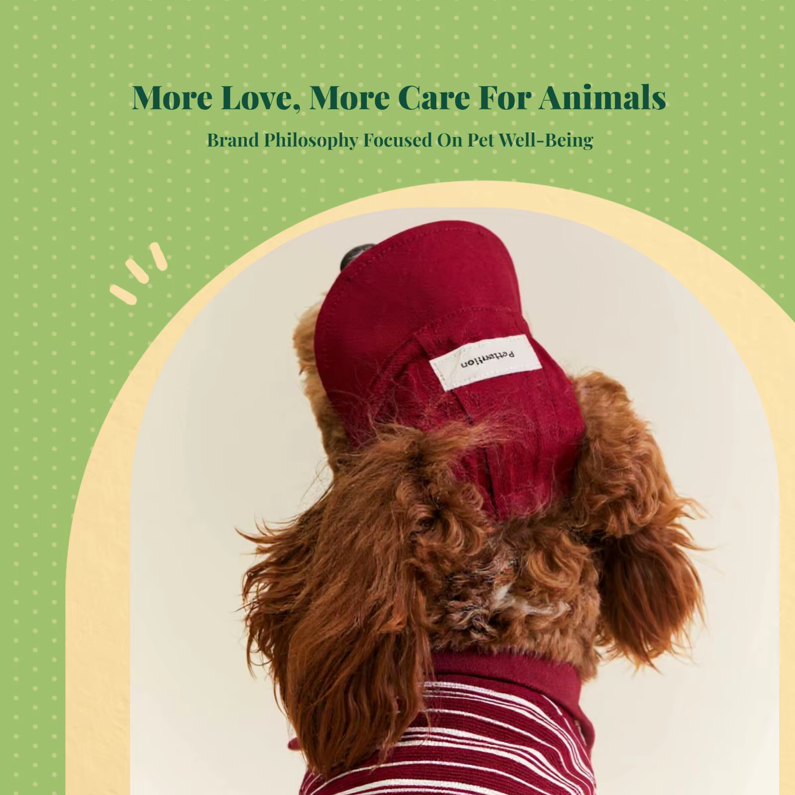 Gorra béisbol para perros pequeños – Cómoda para paseos - imagen 2