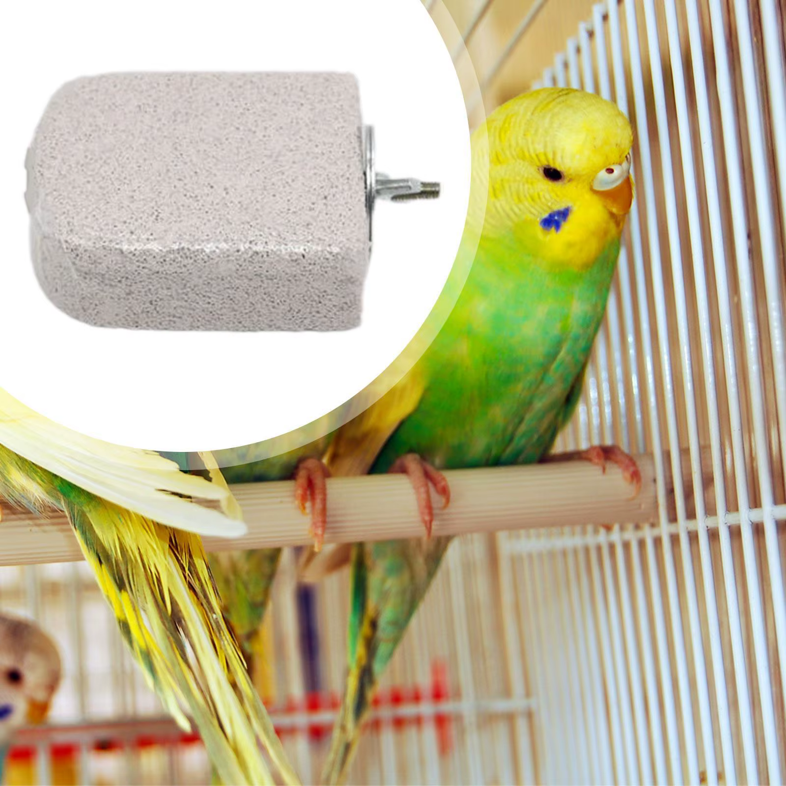 Percha de roca volcánica para loros instalada en jaula