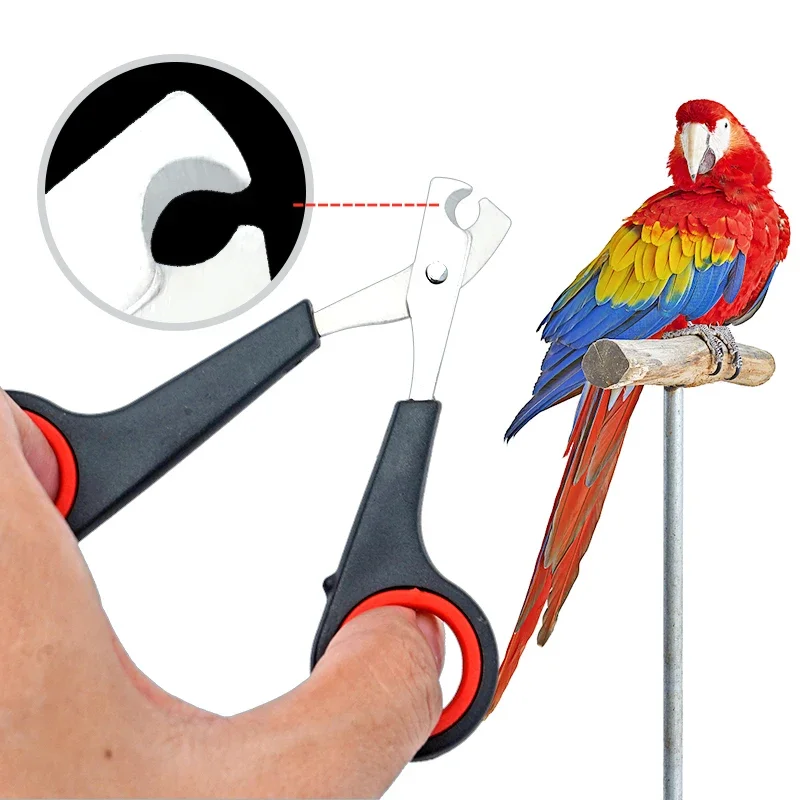 Tijeras cortauñas para mascotas en detalle