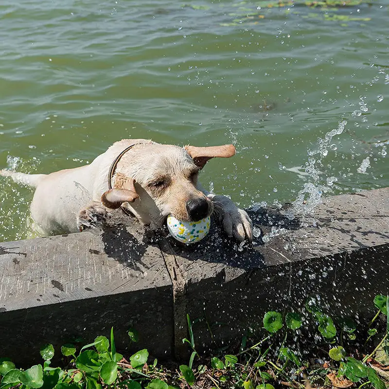 Juguete para perros - uso en casa