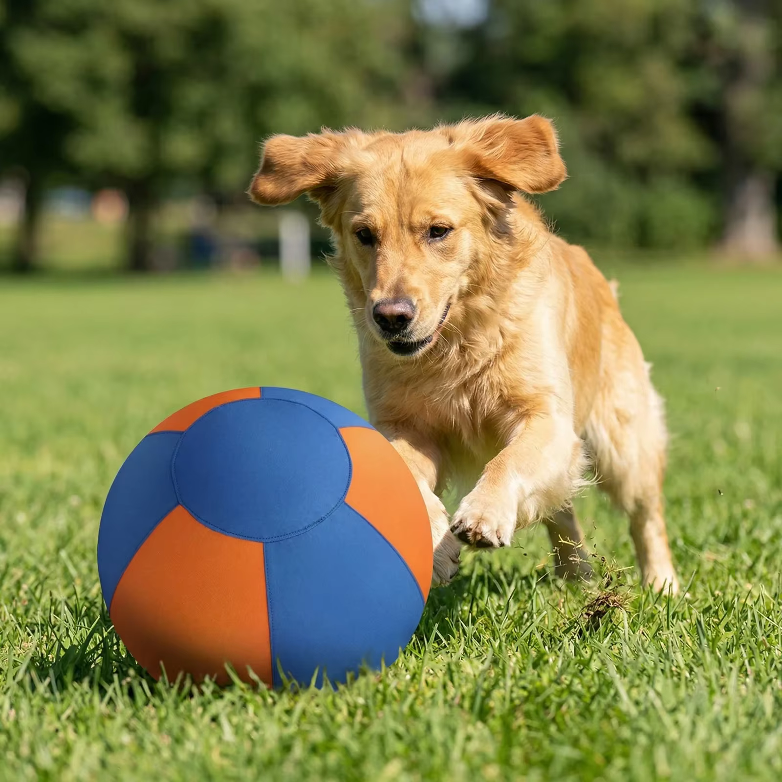 Perro pastor alemán empujando la pelota en el jardín