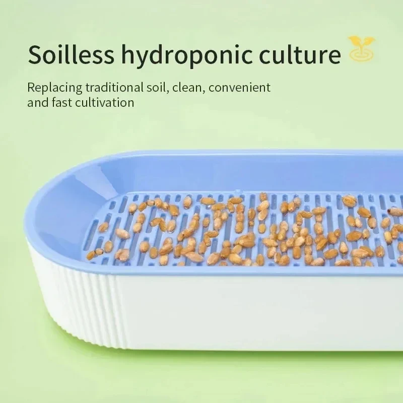 Kit cultivo hidropónico de hierba para gatos: masticar y bolas de pelo - imagen 3