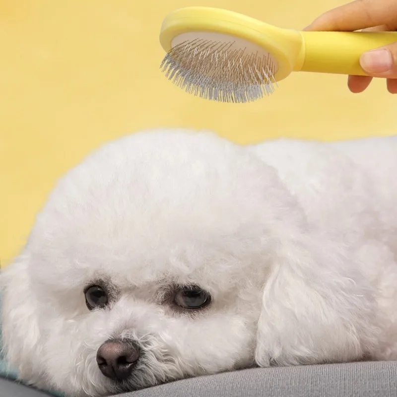 Accesorios para el cuidado integral de mascotas