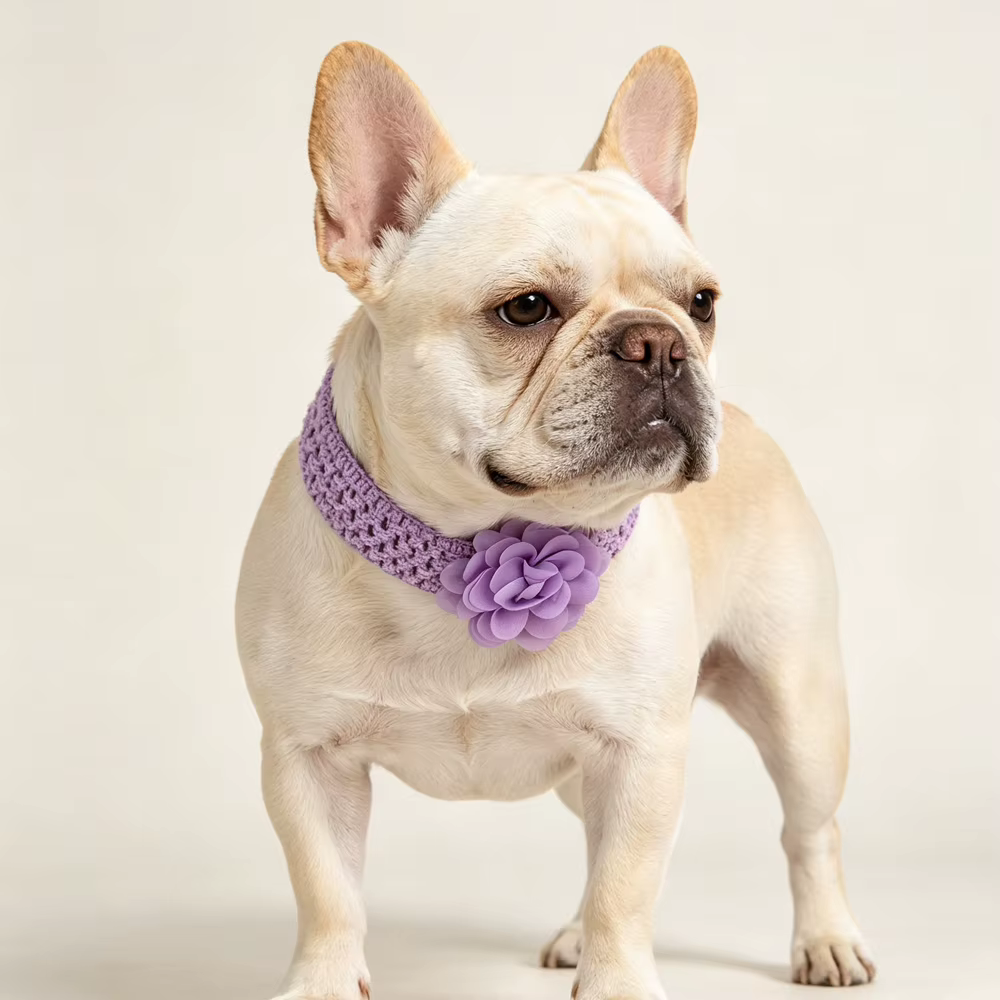 Diademas florales para perros – Lazos elásticos coloridos de cachorro - imagen 5