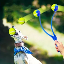 Palo lanzador de pelotas para perros y gatos – Juguete interactivo