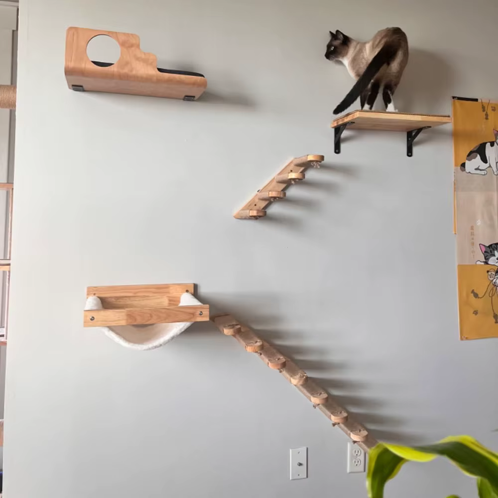 Estantería rascadora de pared para gatos con cojín y percha