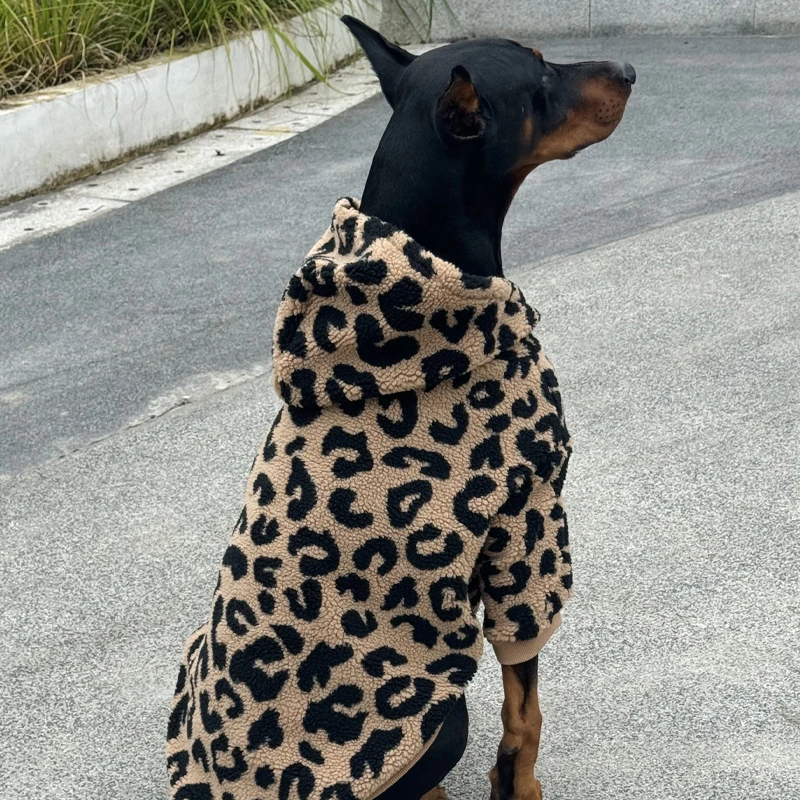 Perro usando la sudadera lateral
