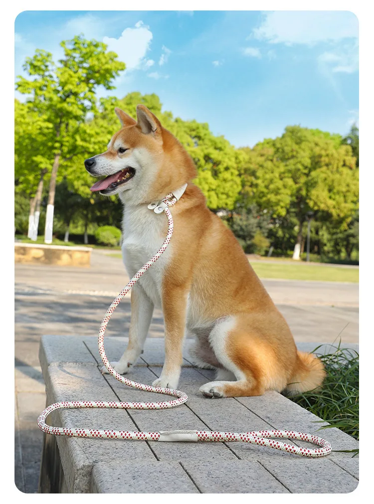 Correa de adiestramiento para perros: cuerda trenzada resistente - imagen 3