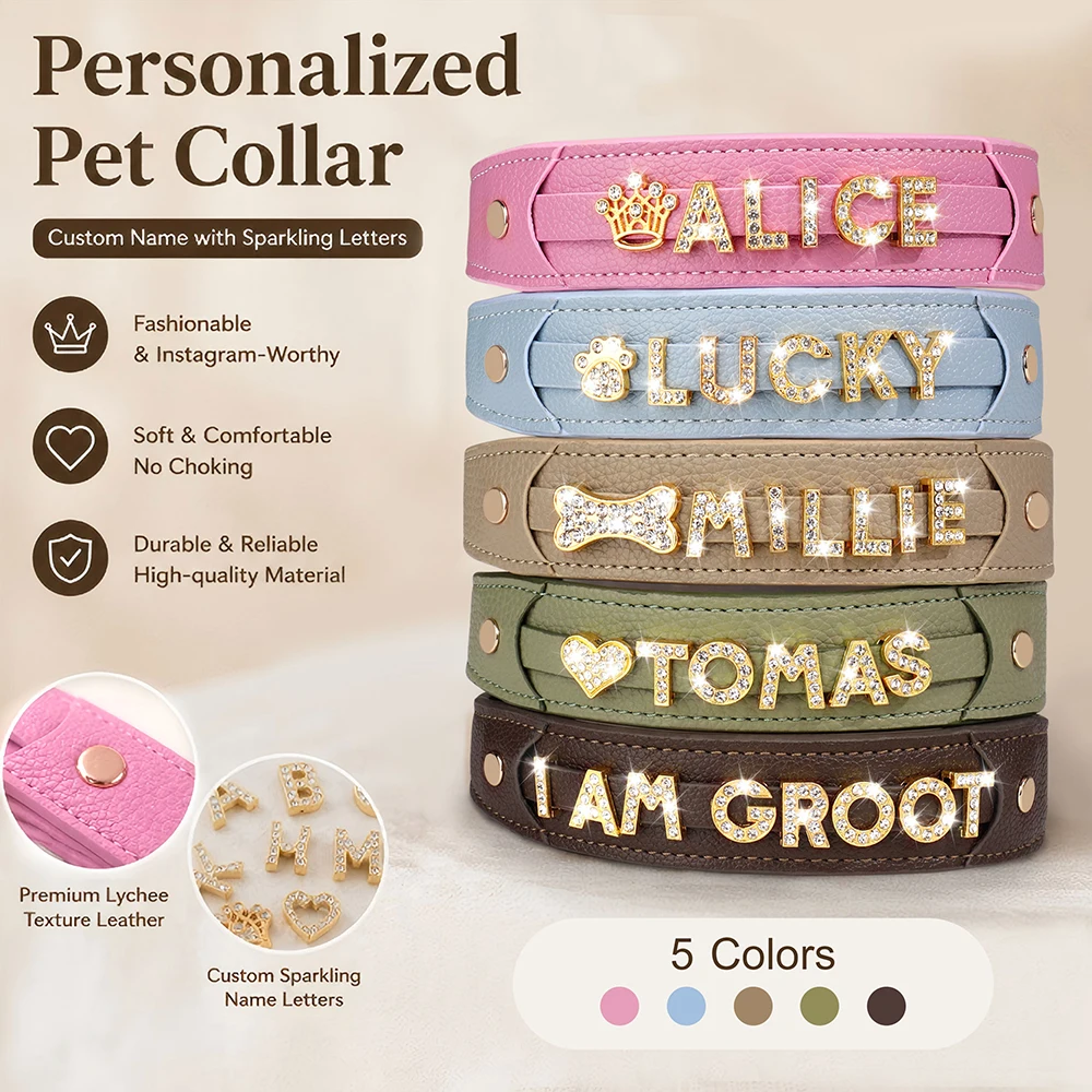 Collar personalizado para perro con nombre grabado - imagen 3