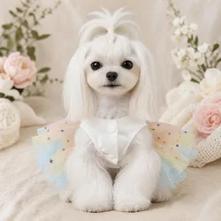 Vestido malla arcoíris con estrellas para gatos y perros – Ropa de fiesta y cumpleaños