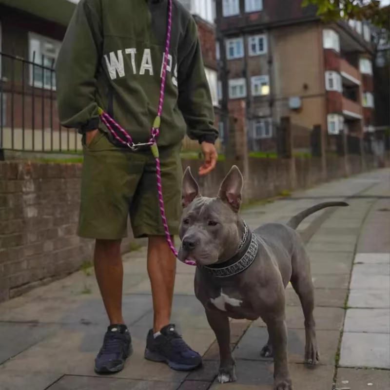 Uso de la correa para correr con el perro