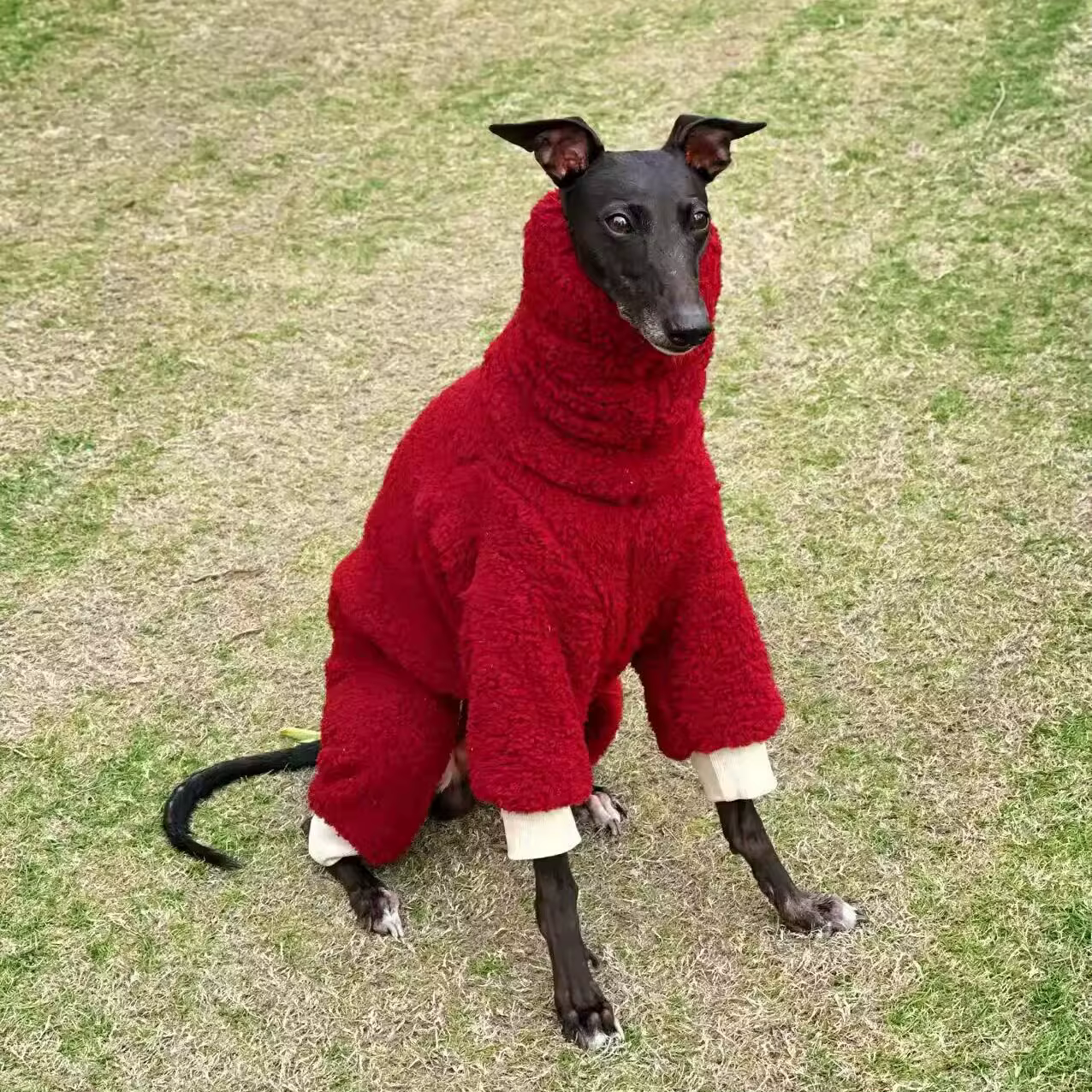Sudadera de forro polar con 4 patas para galgos y whippets - imagen 3