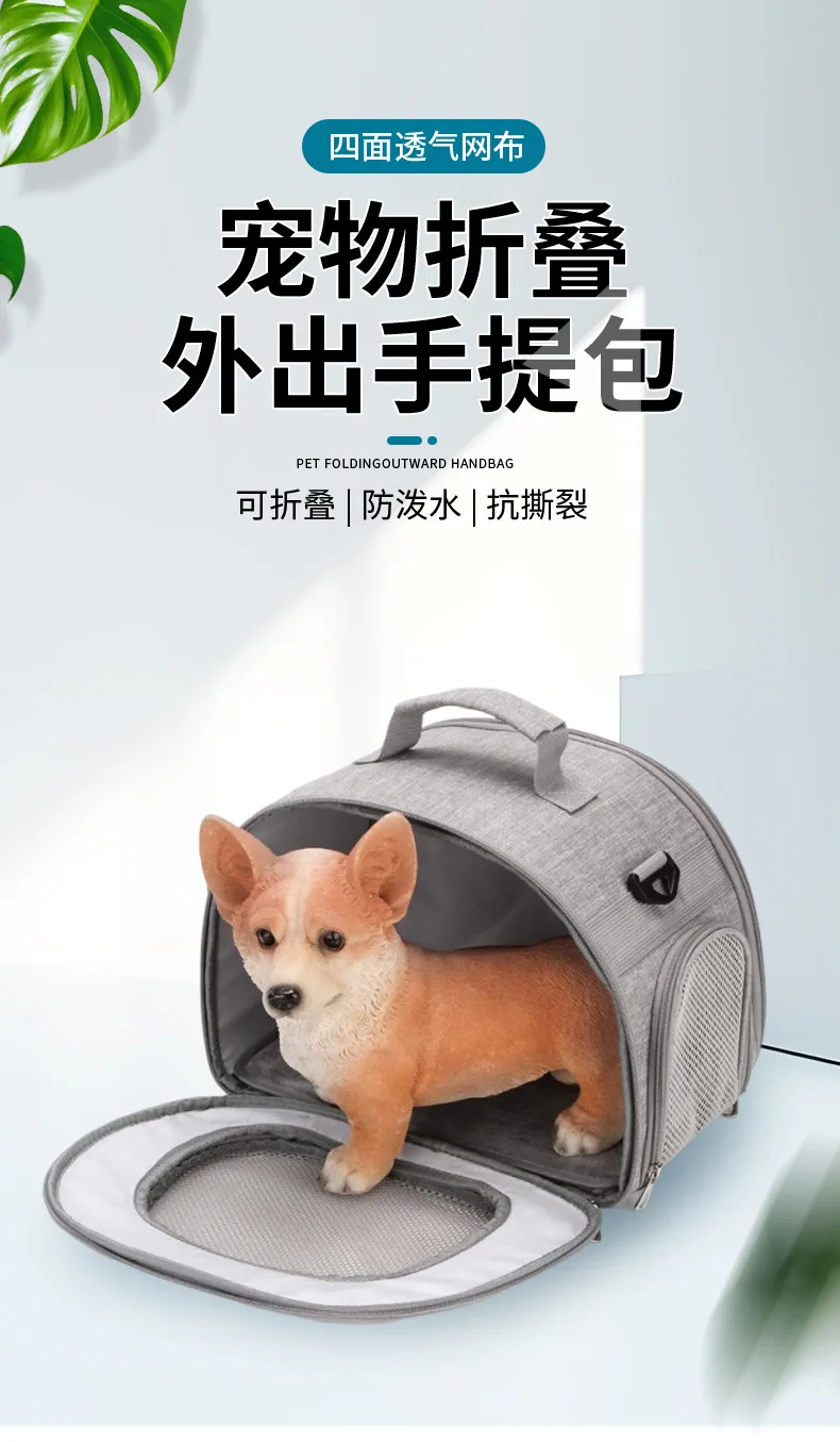 Mochila portátil para mascotas en uso durante un paseo