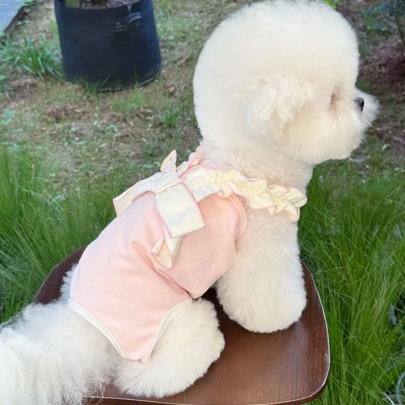 Vestido de calabaza para perros pequeños en uso diario