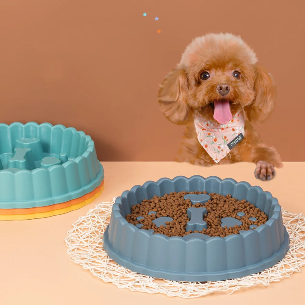 Mascota comiendo tranquilamente del cuenco de alimentación lenta