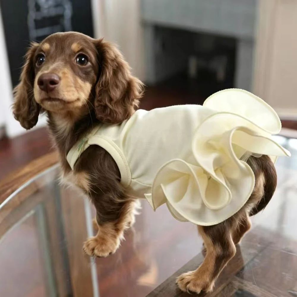 Vestido princesa con volantes para perro dachshund color amarillo - imagen 5