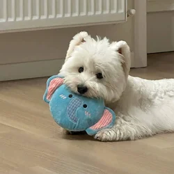 Disco Volador de Peluche con Sonido para Perros – Mordedor Resistente