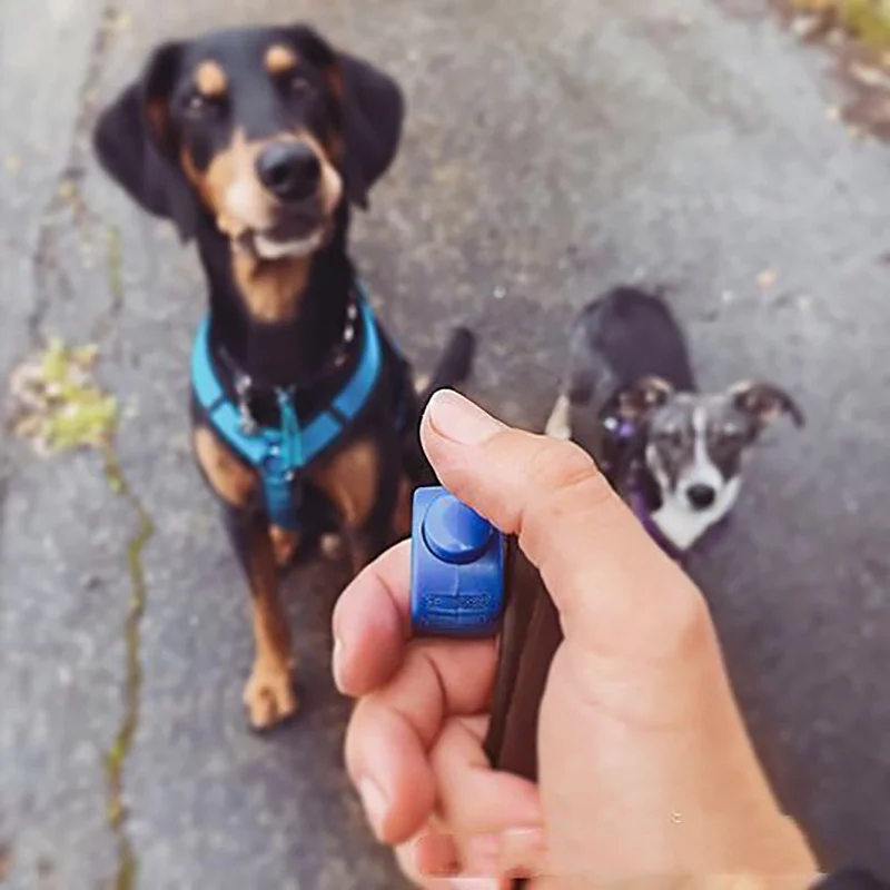 Clicker de anillo para entrenamiento de mascotas Pawstrip