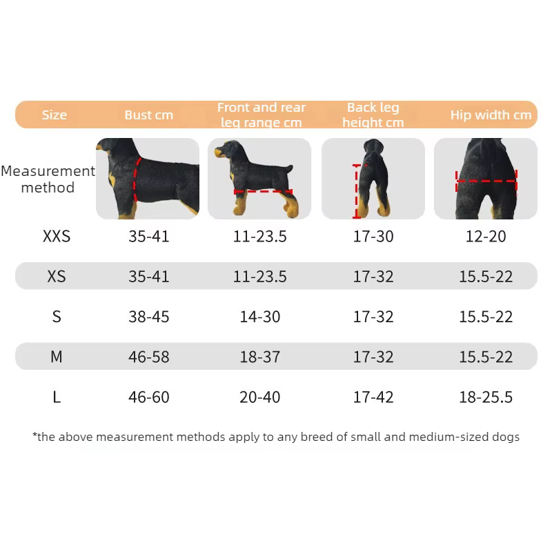 Carrito de movilidad para perros discapacitados – - imagen 5