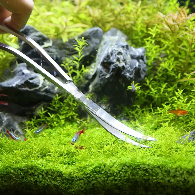 Tijeras Curvas de Acero Inoxidable para Acuario, Plantas Acuáticas - imagen 2