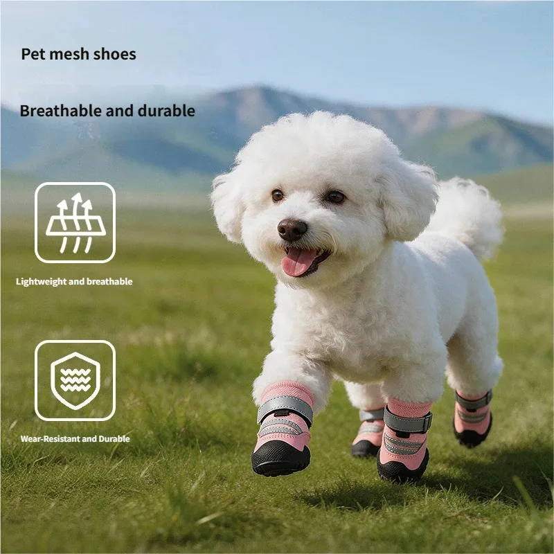 Botines ligeros para perros