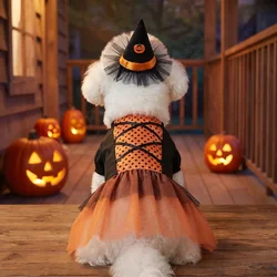 Disfraz de Bruja para Perro con Sombrero y Tutú – Atrezzo para Halloween
