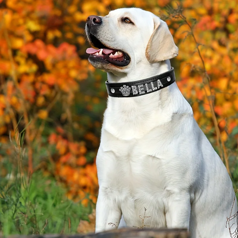 Collar personalizado con nombre para perro y gato – Cuero sintético strass