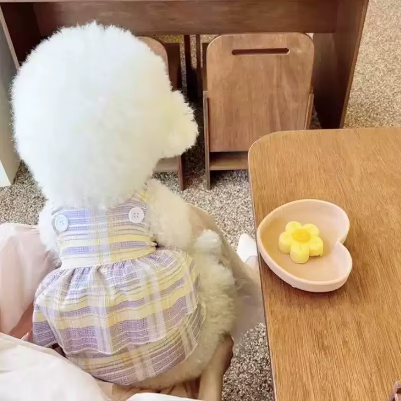 Chaleco y vestido de princesa para mascotas