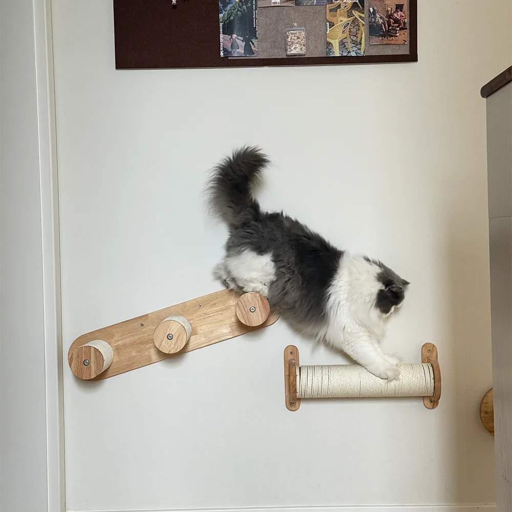 Gato usando la hamaca del poste rascador
